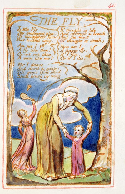 The Fly: plate 40 from Songs of Innocence and of Experience (copy AA) by William Blake